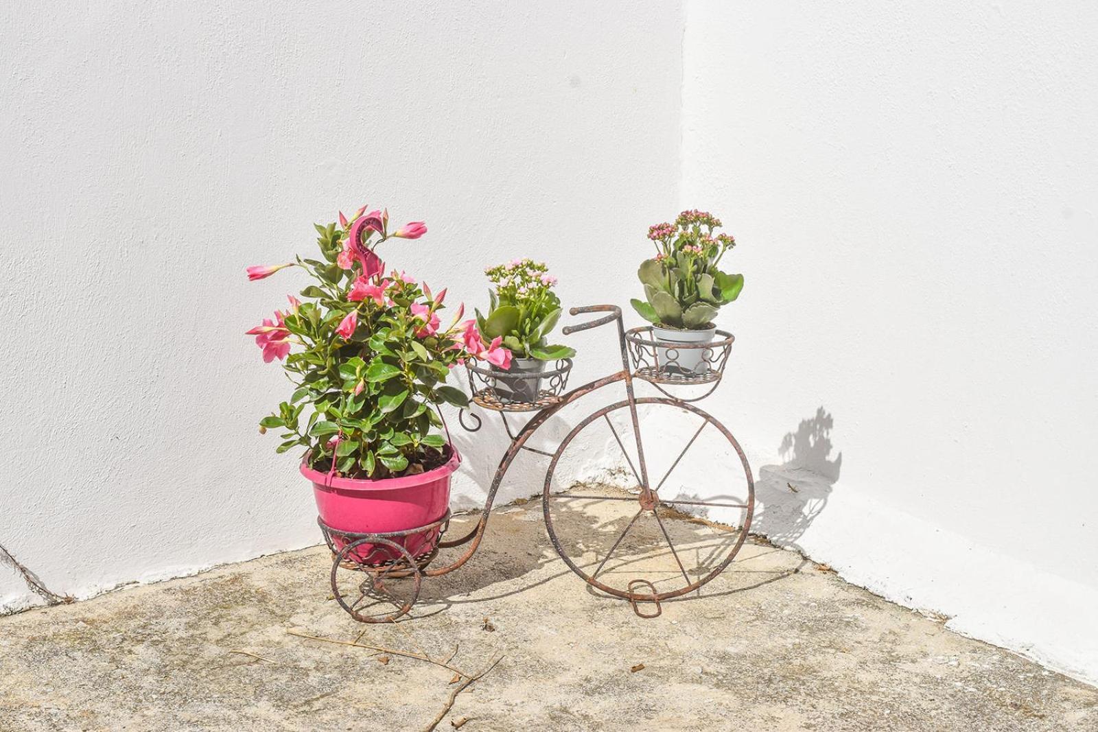 Ktima Holiday House Skiathos Town Ngoại thất bức ảnh